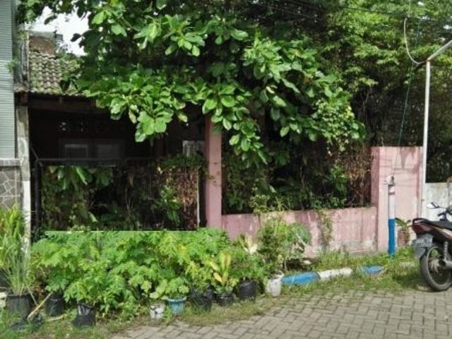 Dijual Cepat Rumah Hadap Timur Di Bumi Citra Fajar, Sidoarjo