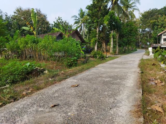 place photo 2