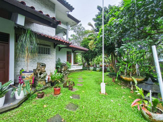 place photo 58