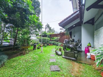 place photo 59