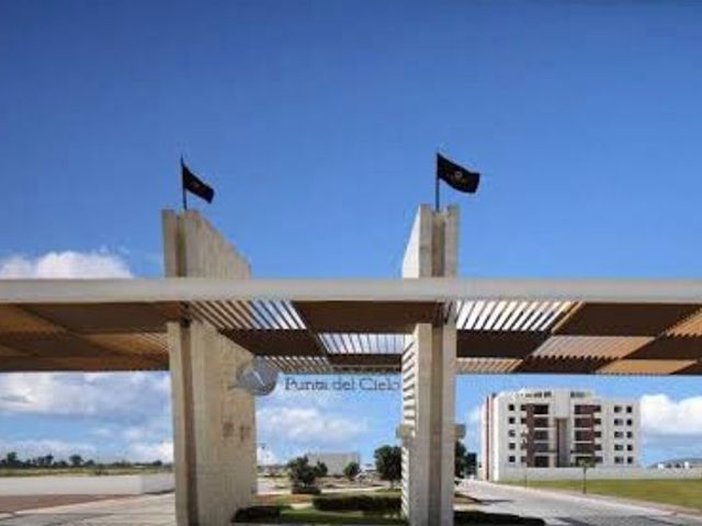 place photo 8