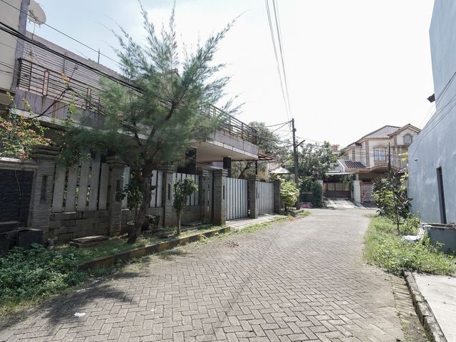 place photo 29