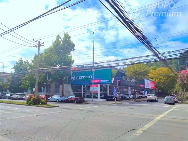place photo 32