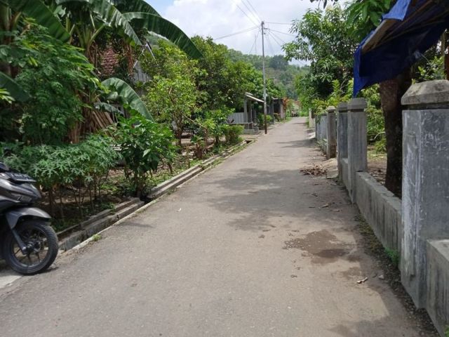 place photo 4
