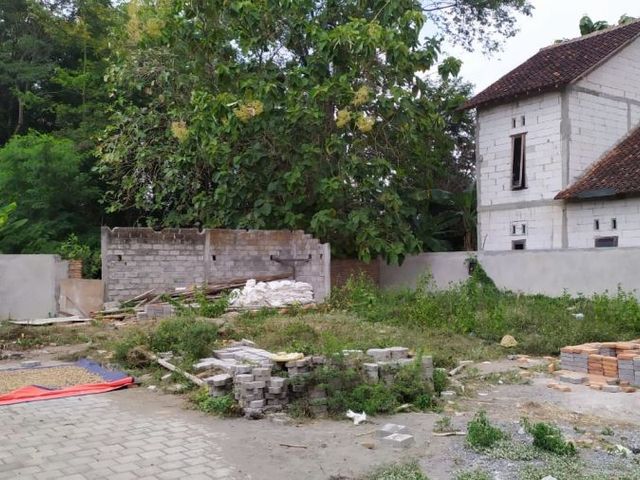 place photo 3