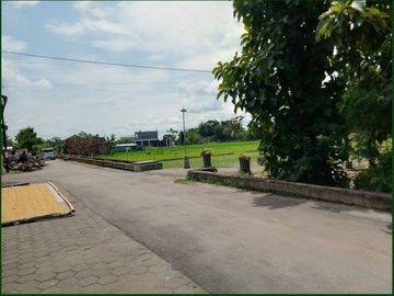 place photo 5
