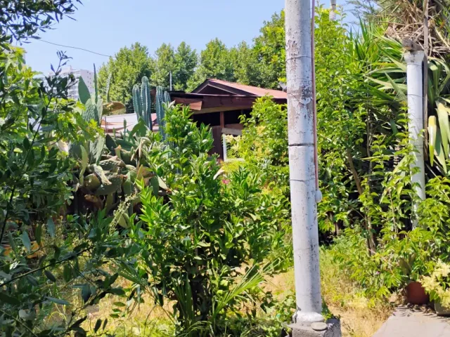 place photo 10