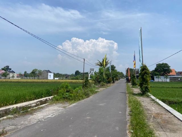 place photo 6