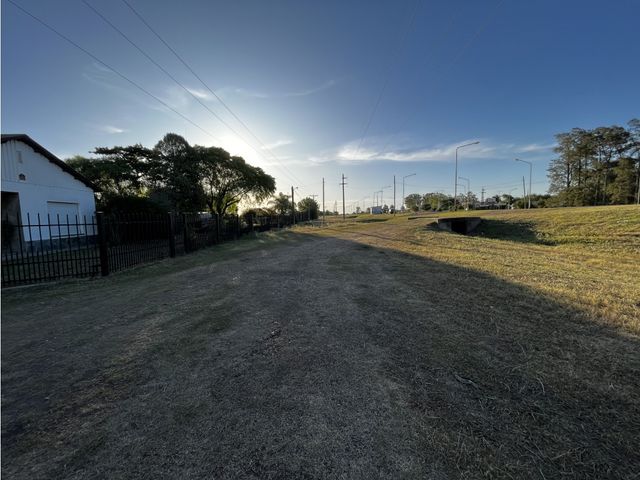 place photo 12
