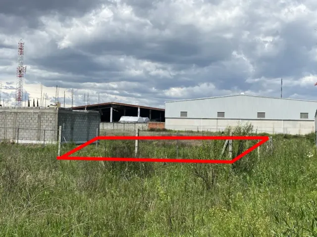 place photo 1