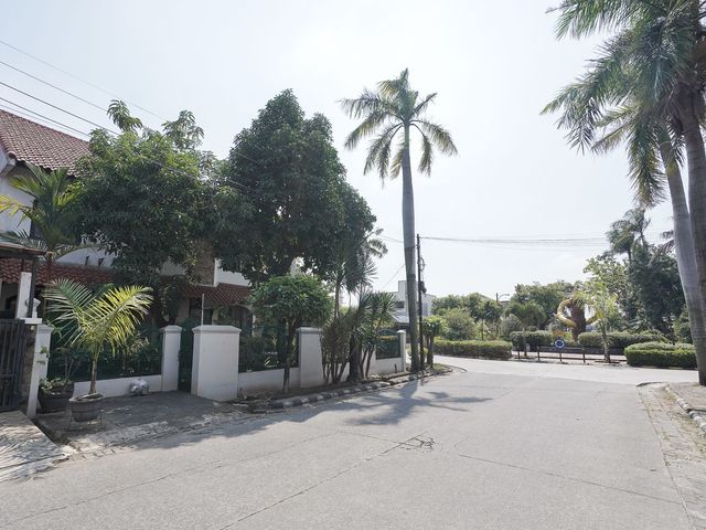 place photo 30