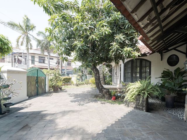 place photo 47