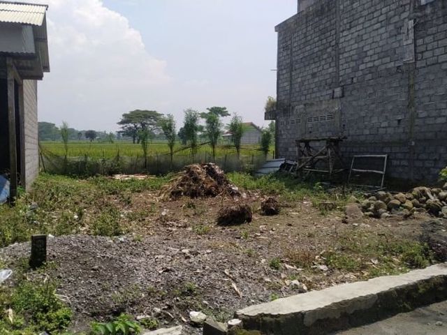 place photo 3