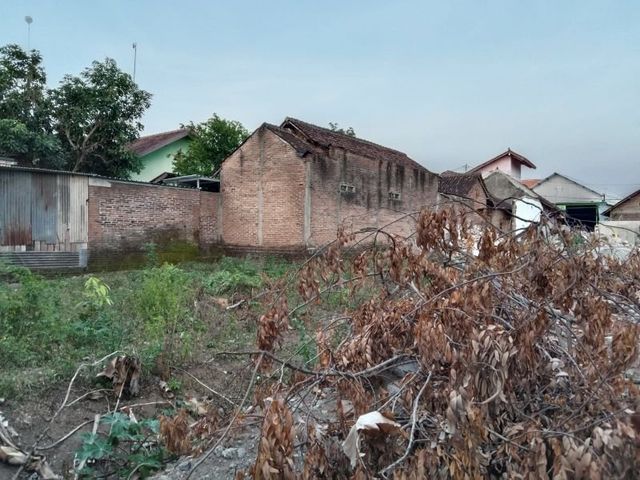 place photo 5