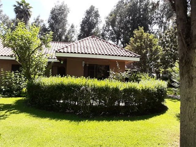 place photo 60