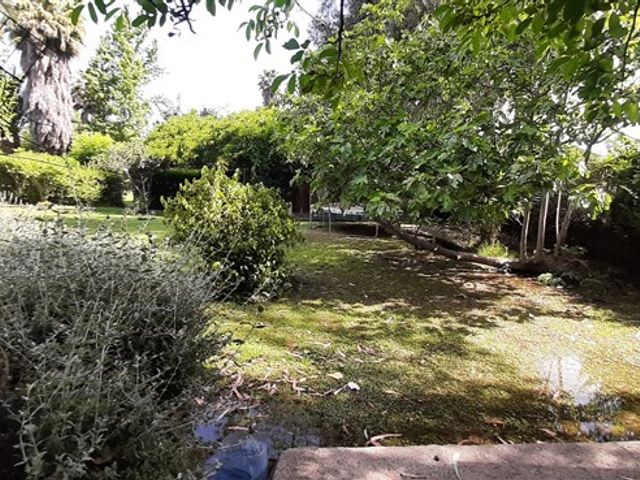 place photo 42