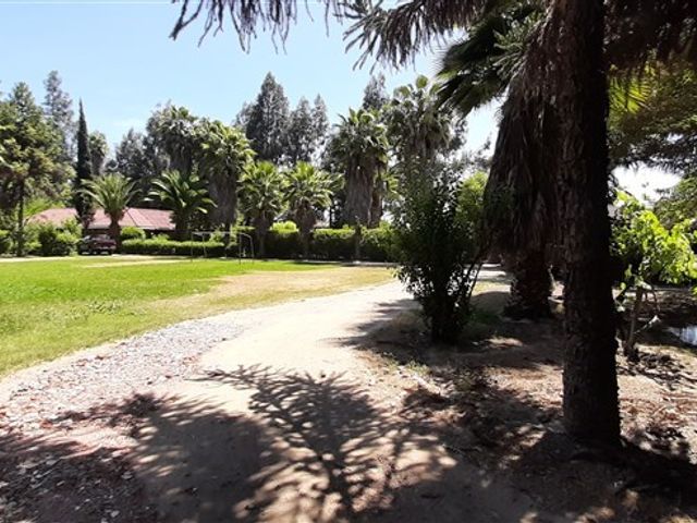 place photo 56