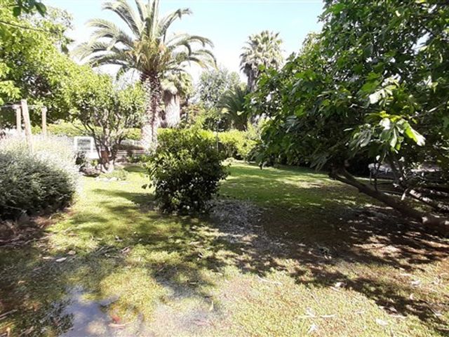 place photo 47