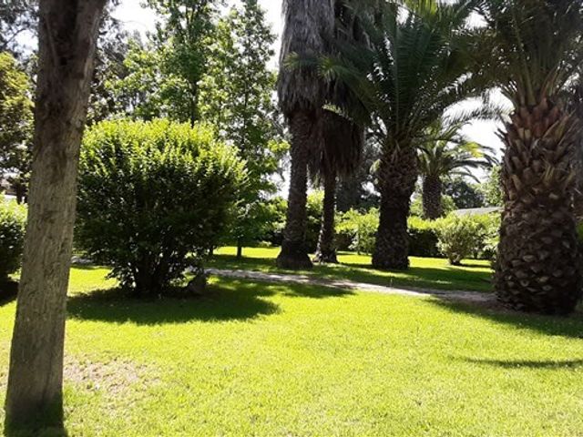 place photo 61
