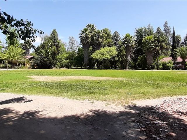 place photo 57