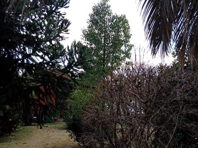 place photo 65
