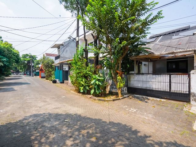 place photo 29