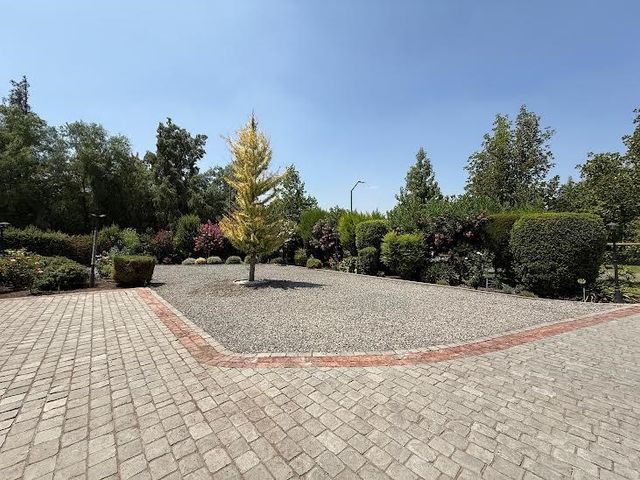 place photo 49