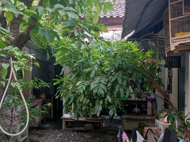 place photo 30