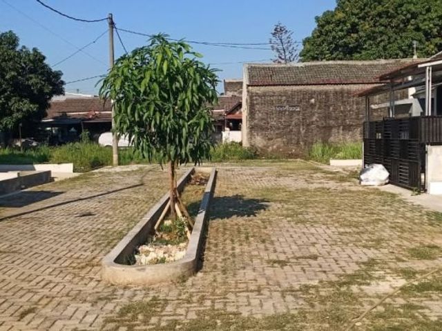 place photo 3