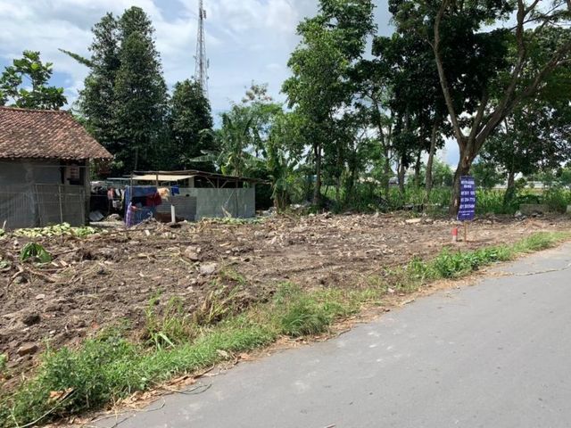 place photo 2