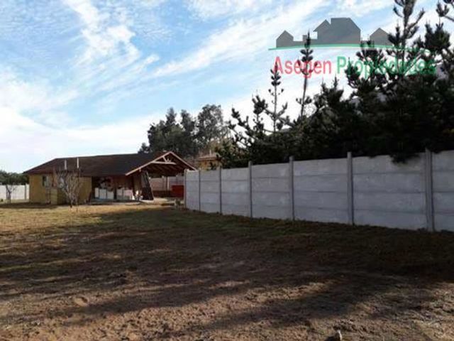 place photo 62
