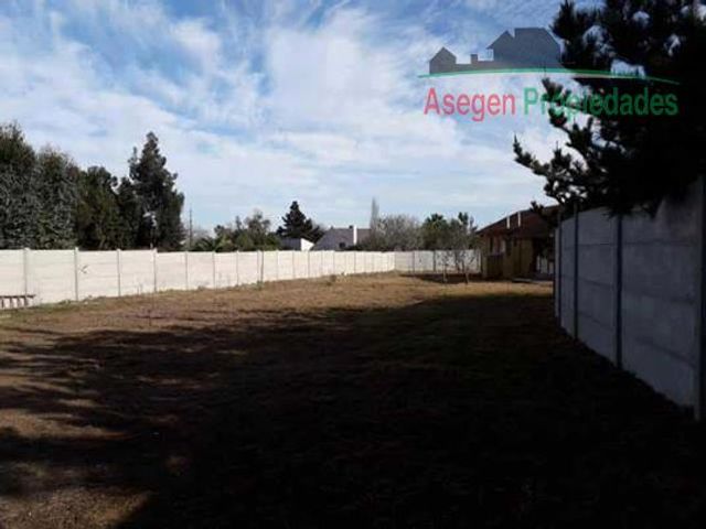 place photo 60
