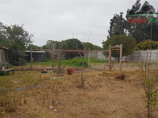 place photo 67