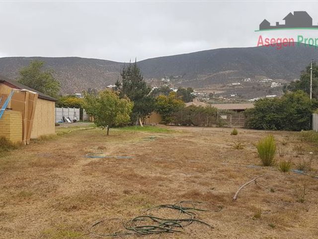 place photo 66
