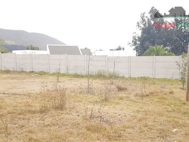 place photo 65