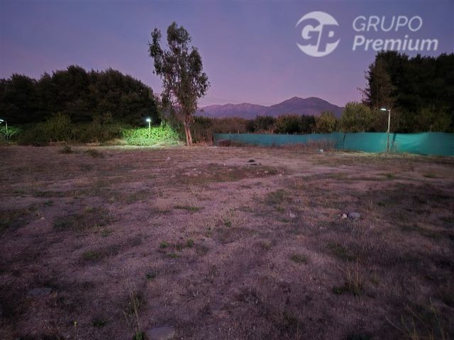 place photo 42