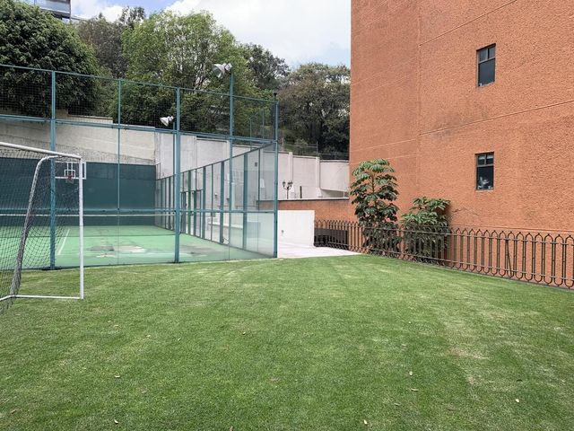 place photo 43
