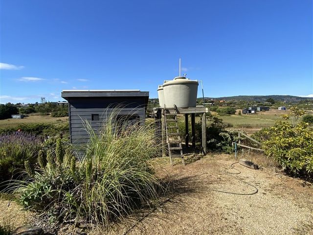 place photo 45