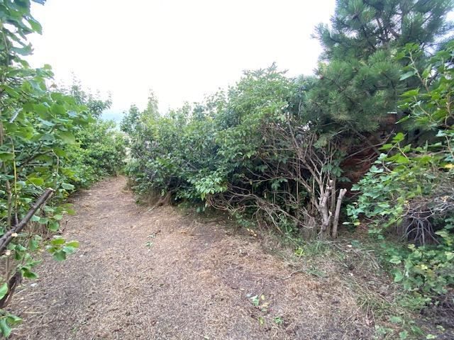 place photo 30