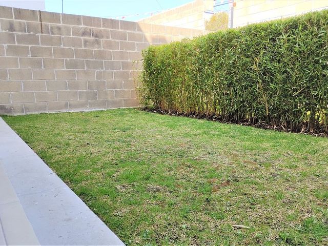 place photo 62