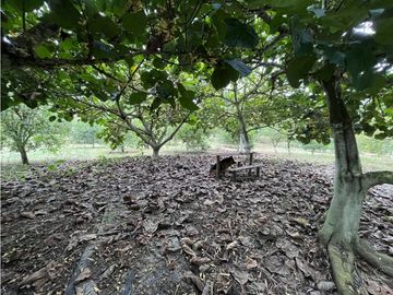 place photo 43