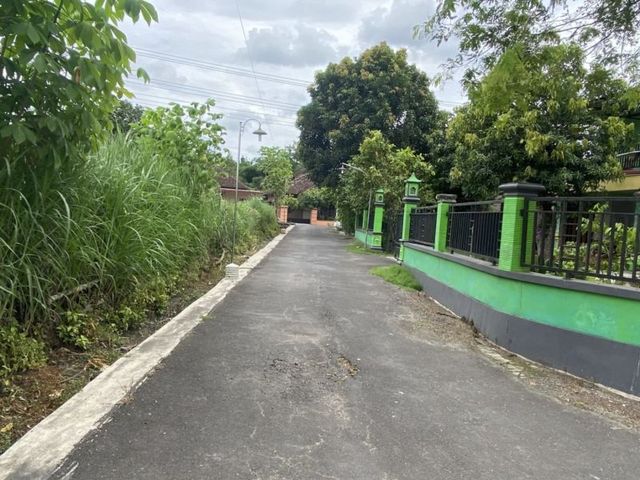 place photo 4