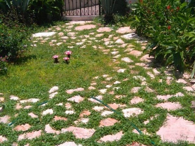 place photo 22