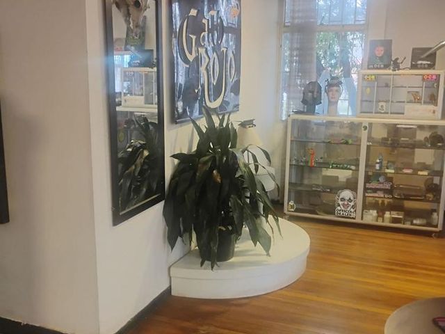 place photo 13
