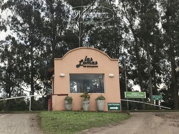 place photo 14