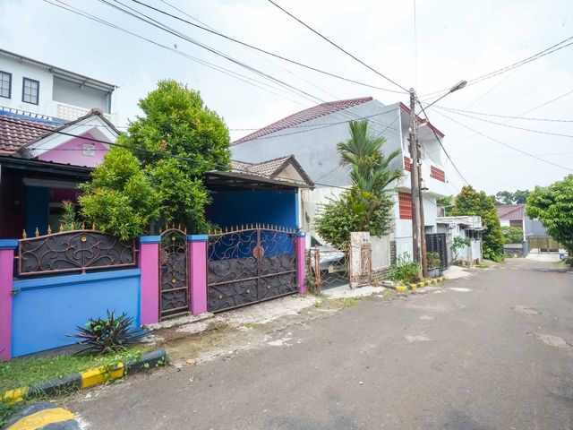 place photo 28