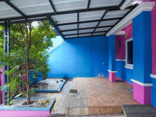 place photo 34