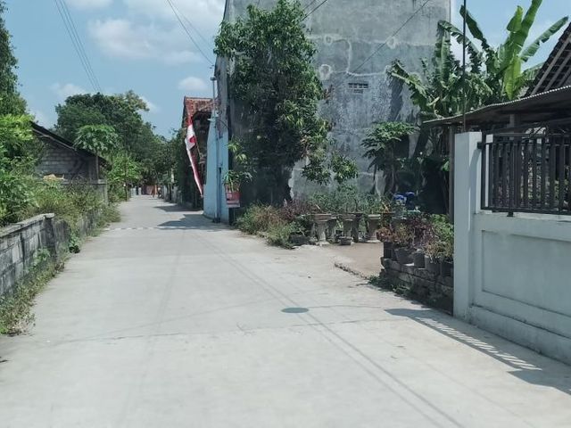 place photo 3