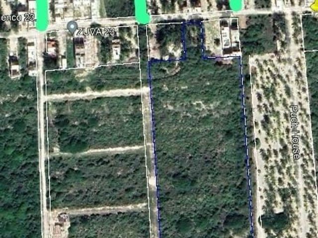 place photo 9