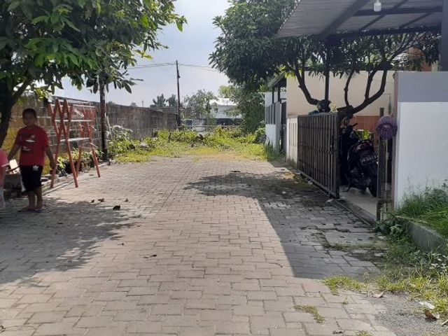 place photo 4
